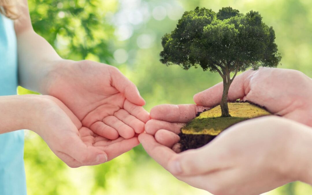 The Essential End-of-Life Planning Checklist: Legal, Financial & Personal Steps