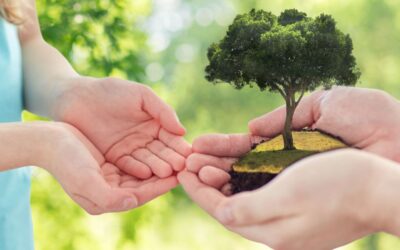 The Essential End-of-Life Planning Checklist: Legal, Financial & Personal Steps